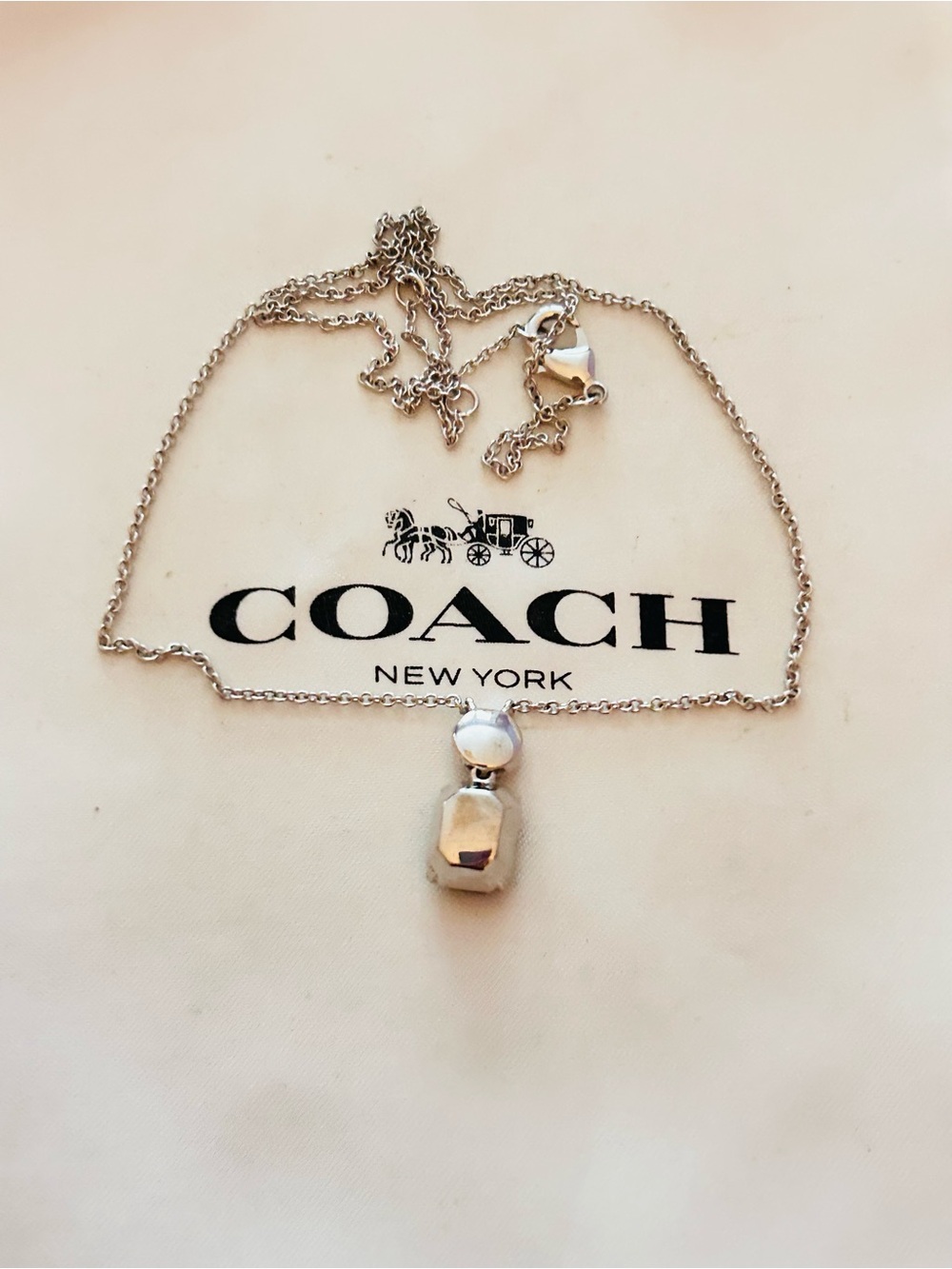 Coach Smoky Gray Stone Charm Necklace - Picture 12 of 14